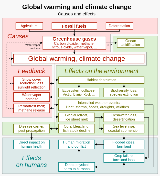 The primary causes and the wide-ranging effects of global warming and resulting climate change.