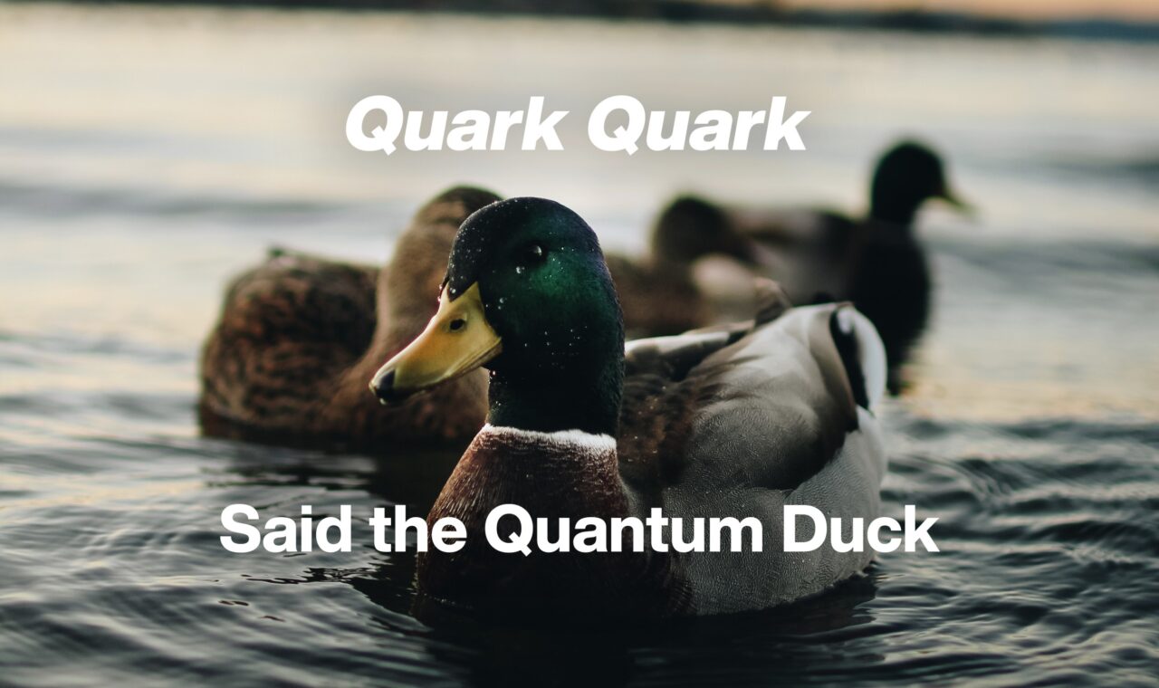 meme on quarks