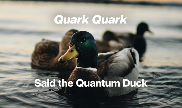 meme on quarks