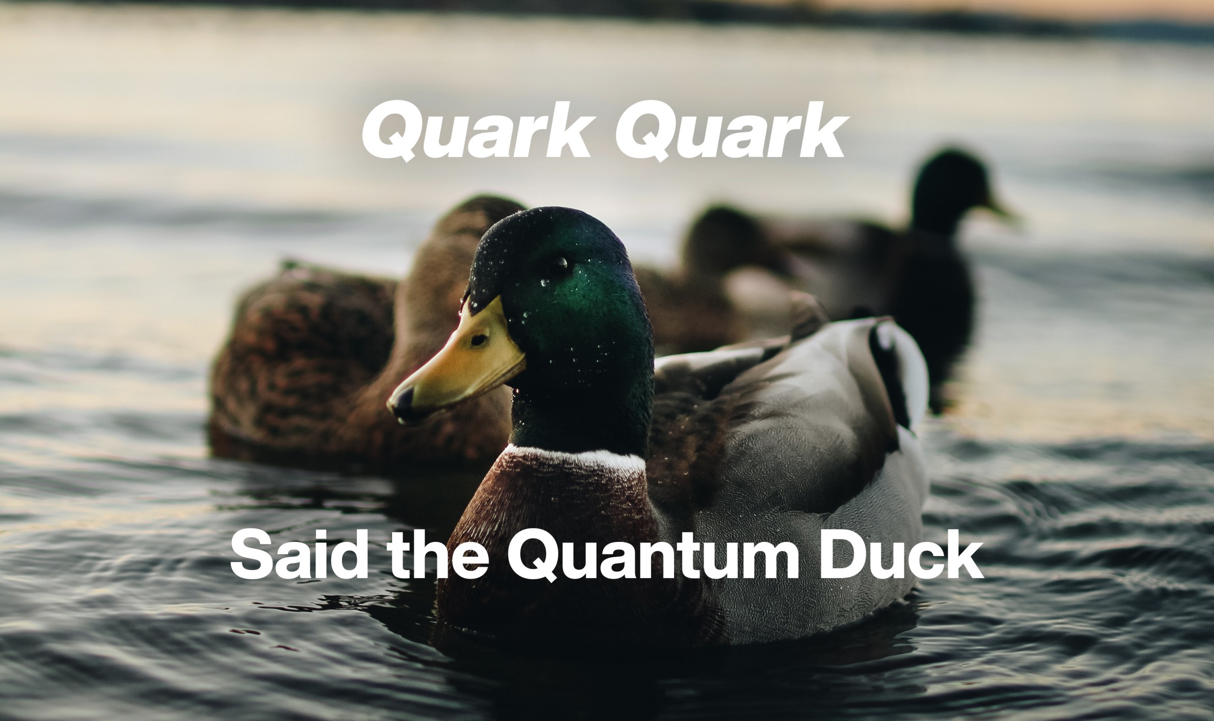 meme on quarks
