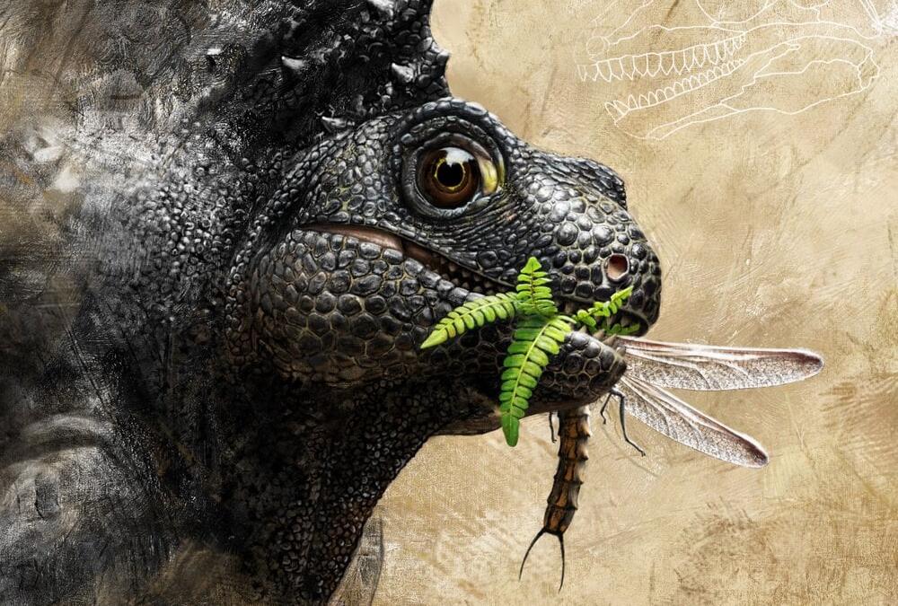 a lizard reptilian mammal eating leaves