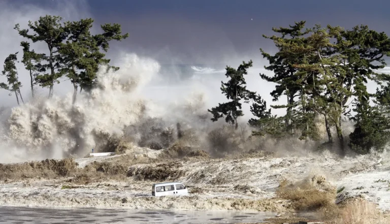 landscape with green trees and a white car drowning in a tsunami